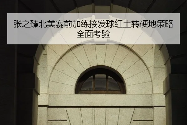 张之臻北美赛前加练接发球红土转硬地策略全面考验